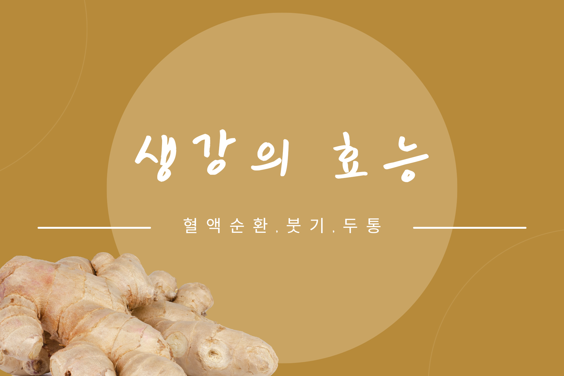 생강의 효능