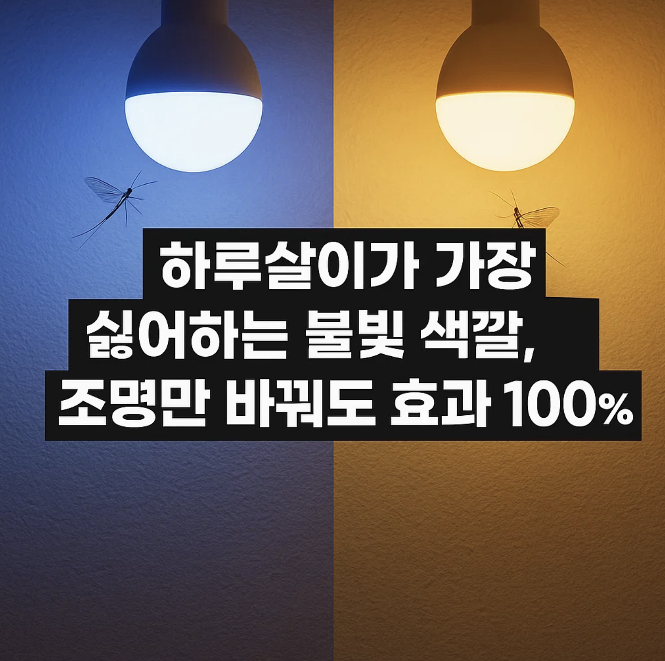 하루살이가 가장 싫어하는 불빛 색깔, 조명만 바꿔도 효과 100%