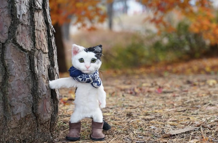 동네한바퀴 서촌 양모펠트인형 공방 썸네일