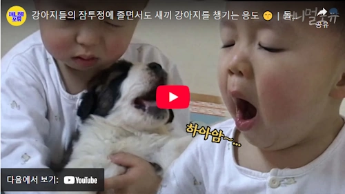 동물농장 주주클럽 돌아온 응도