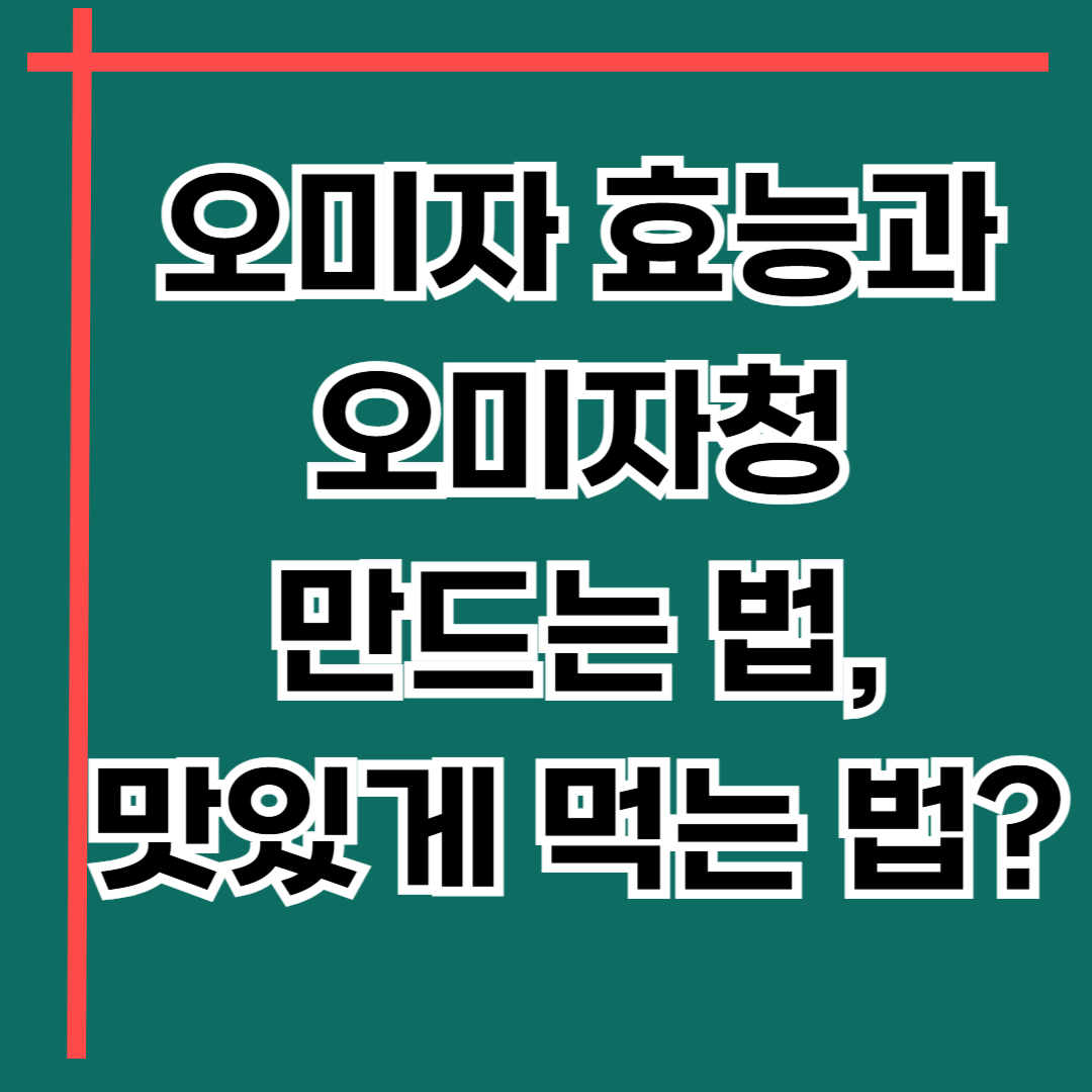 오미자의 효능과 오미자청 만드는법, 맛있게 먹는법 정리