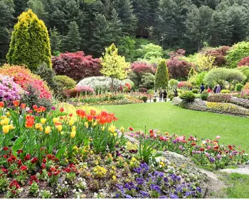 아침고요수목원_10