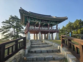 서천 마량리 동백나무 숲 개화 코스_4