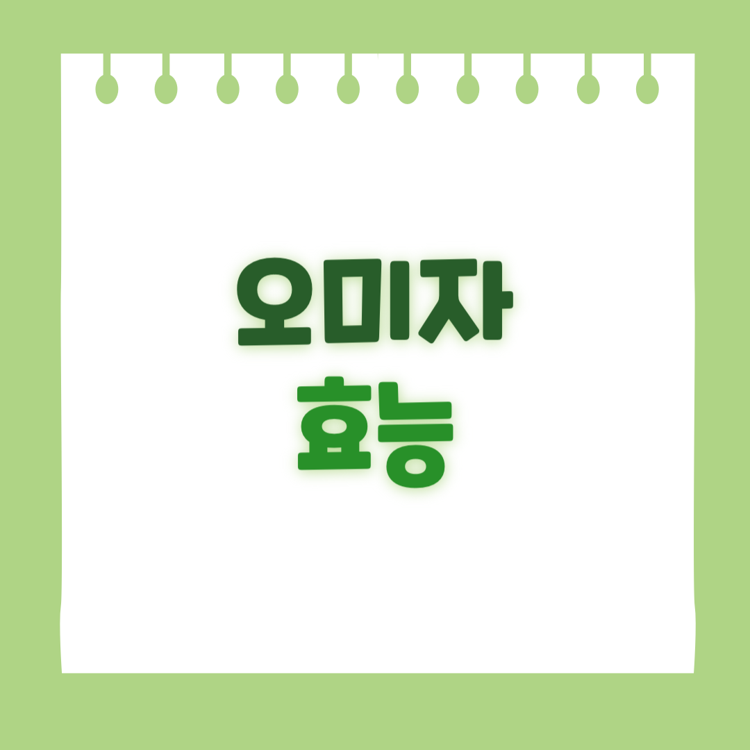 오미자의 효능