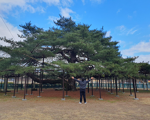 여행 가는 달
