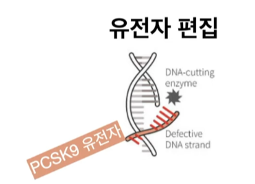 PCSK9 유전자 편집 과정