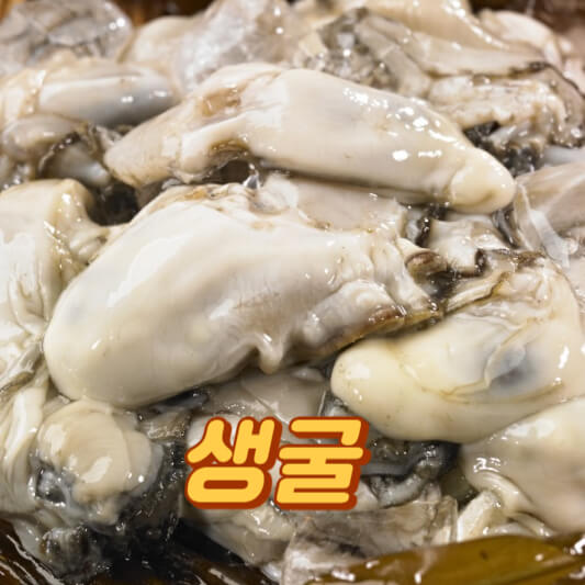생굴