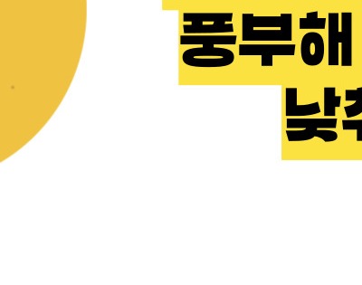 담낭염 증상
