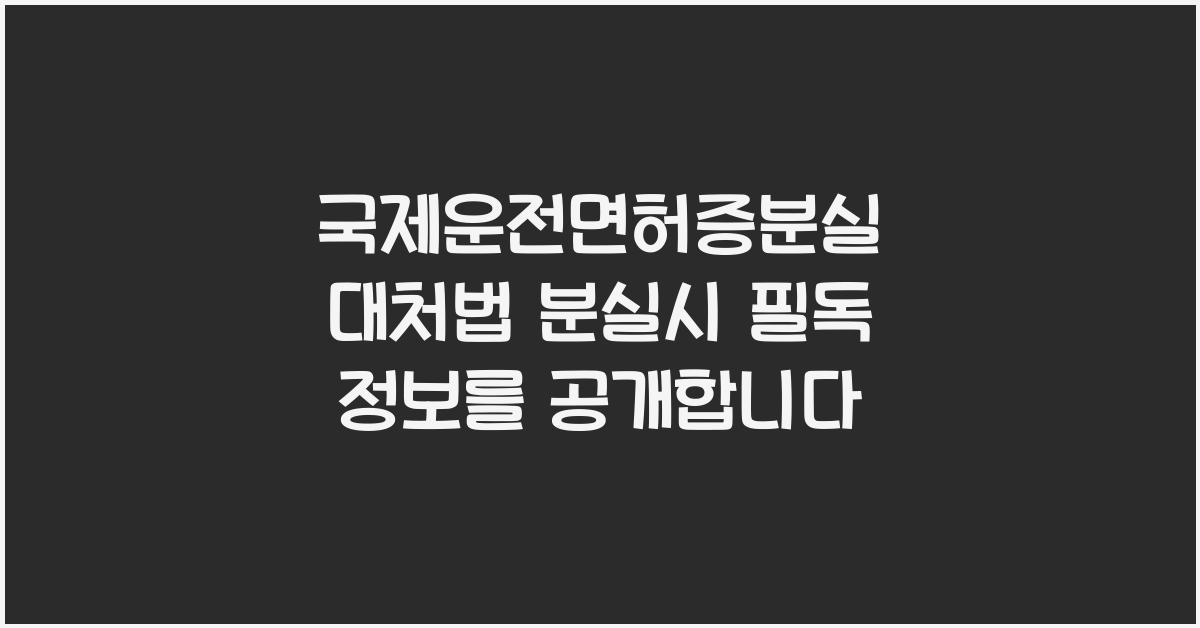 국제운전면허증분실
