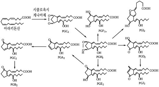 그리아정은 프로스타글란틴을 억제함으로써 염증 매개 물질 생성 경로를 차단하여 작용한다.