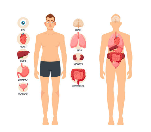 간수치 낮추는법 및 낮춰주는 음식. 간수치가 높으면 다양한 증상들이 나타나는데요. 어떤 증상과 정상 수치는 무엇인지 참고하시기 바랍니다.