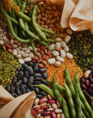 칼륨이 많은 음식