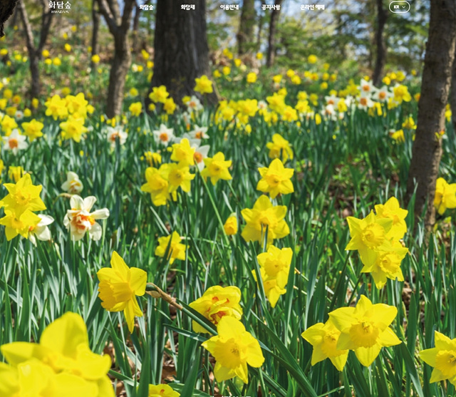 곤지암 화담숲 예약 입장료 등 2026년 오픈 총정리!
