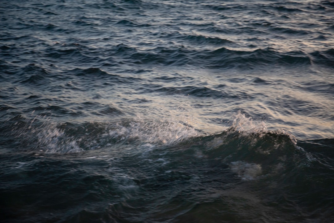 Water.