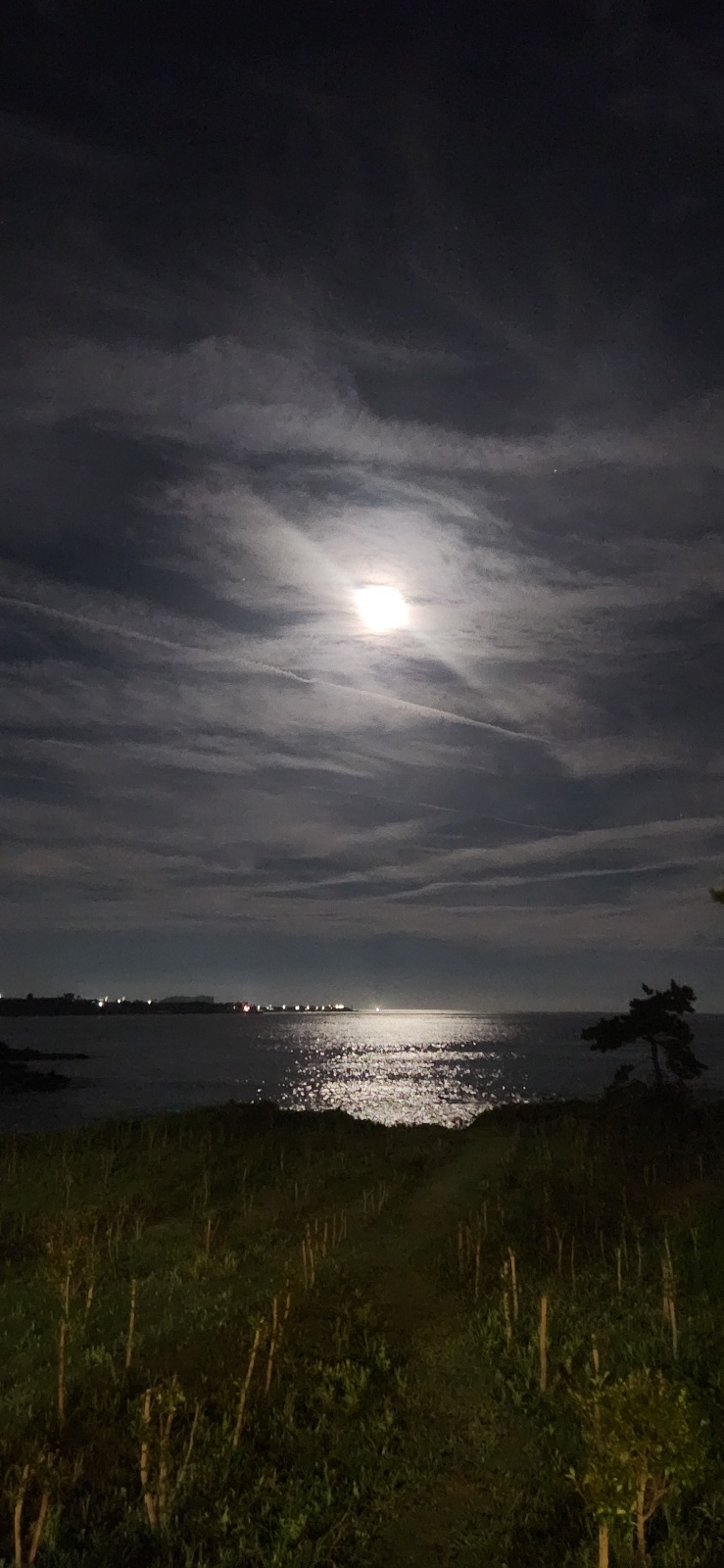 슈퍼 블루문 폰카 촬영