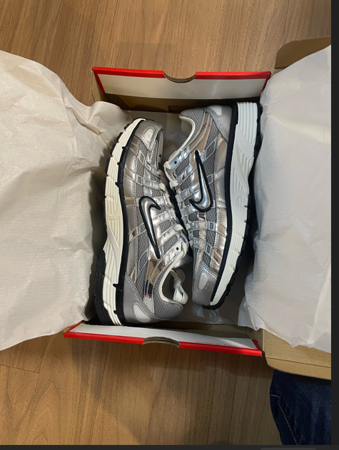 집으로 가져온 나이키 P6000