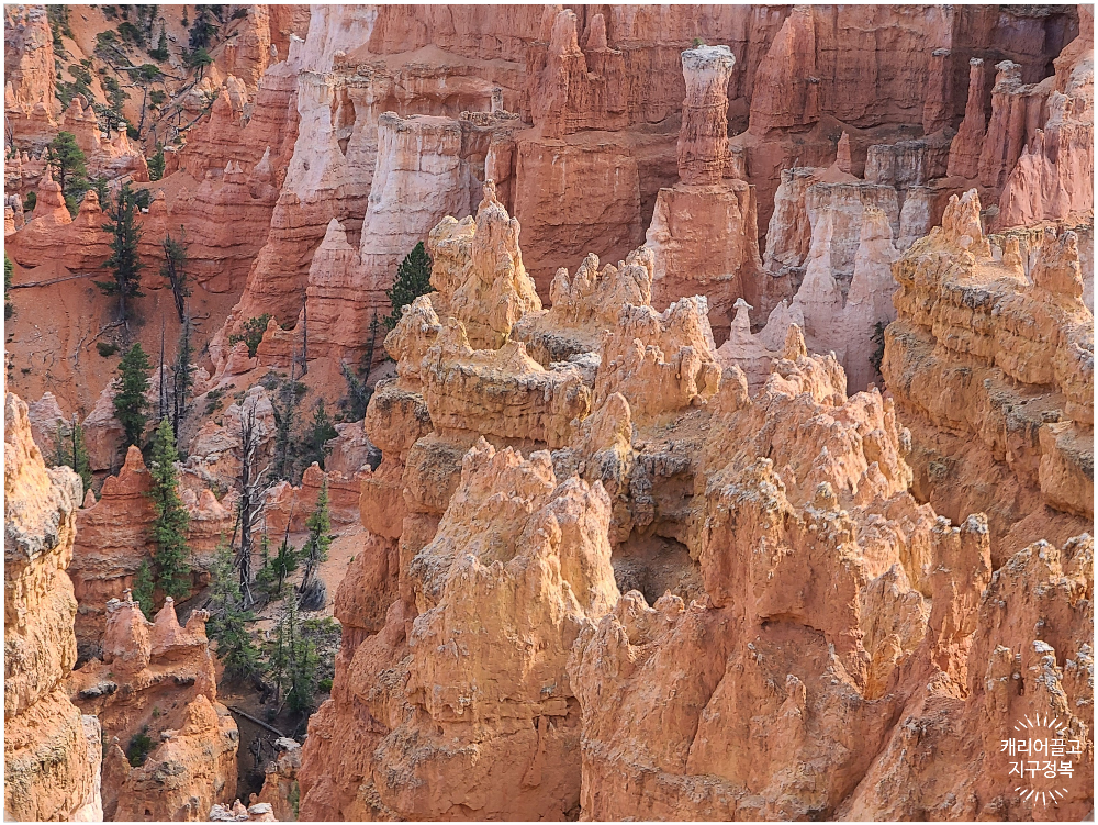 브라이스 캐니언