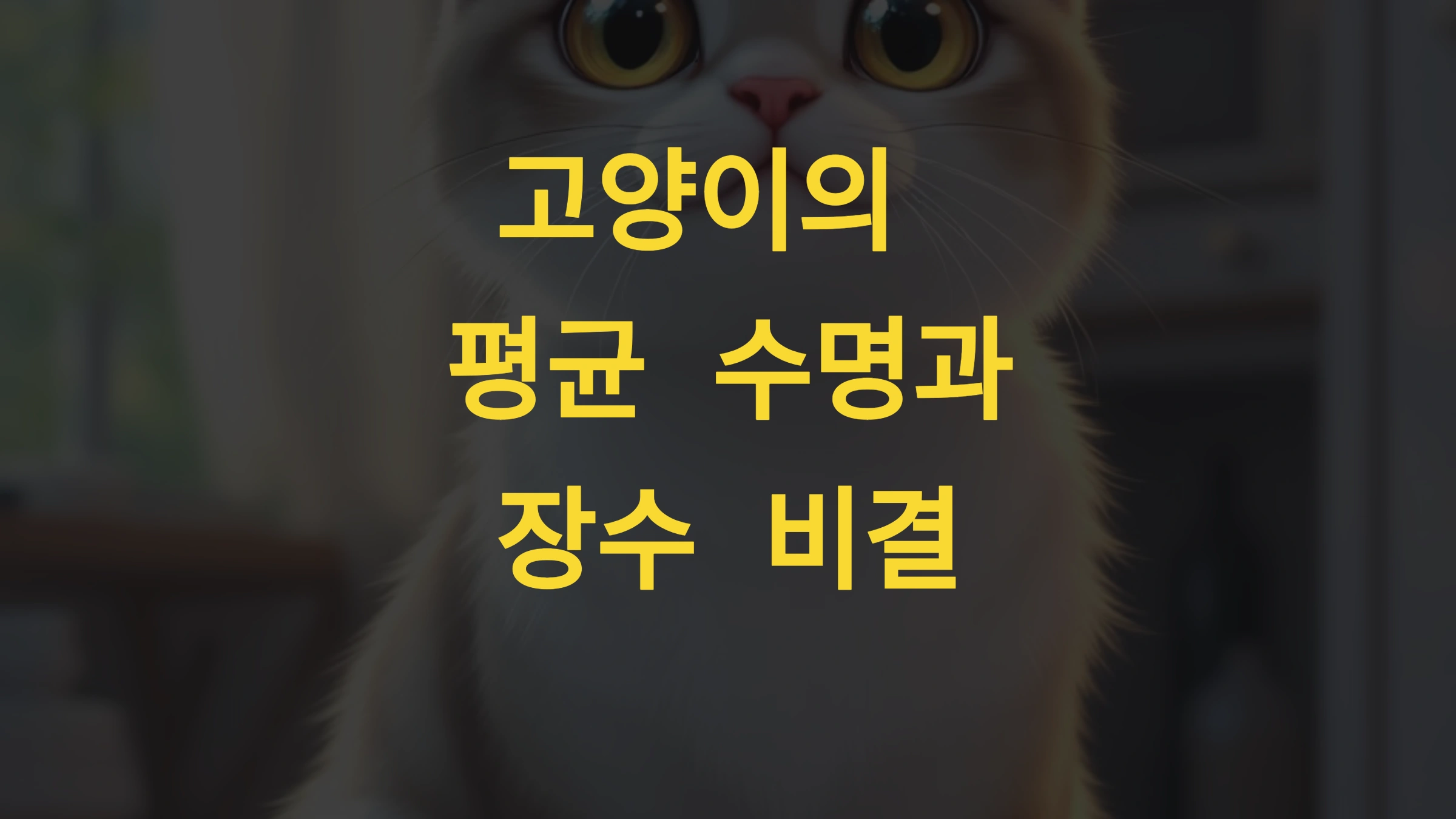 고양이의 평균 수명과 장수 비결
