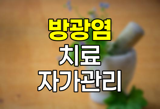 방광염 완치 방법, 실비보험 적용 및 자가 치료 가이드 관련 정보