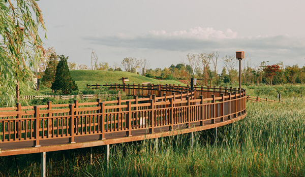경기도 파주 평화누리 캠핑장 