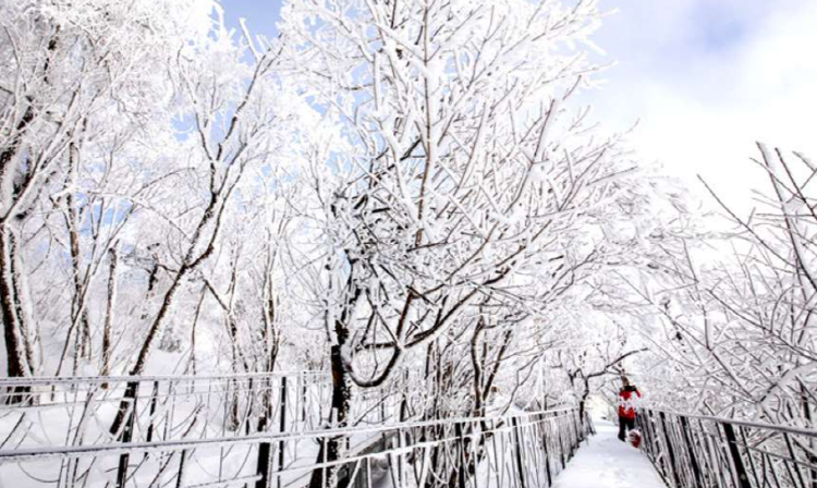 발왕산 케이블카