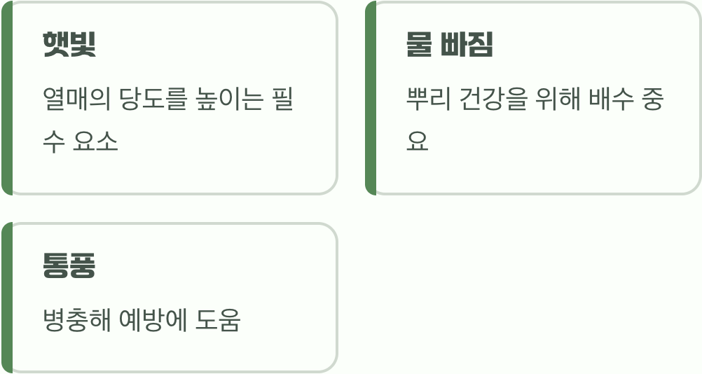 햇빛과 바람, 최고의 명당