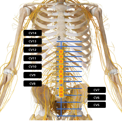 복부 주변 혈자리 요약