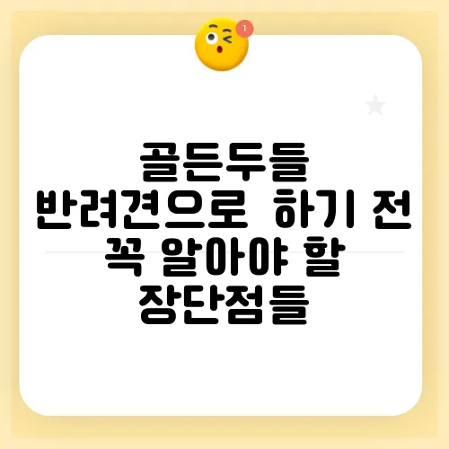 골든두들 반려견으로迎하기 전 꼭 알아야 할 장단점들