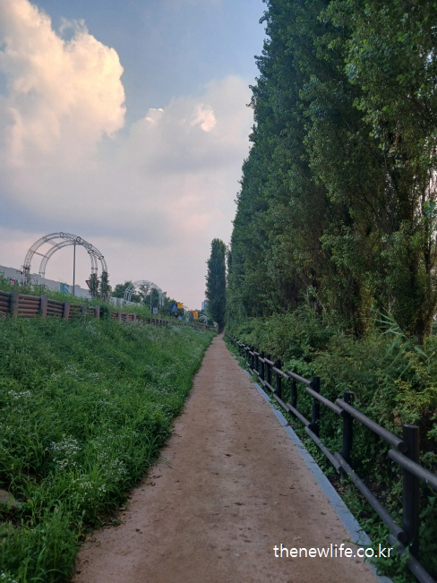 서울 맨발 걷기 좋은 장소 &ndash; 수직으로 뻗은 나무와 마사토 흙길이 이어진 광나루 맨발 걷기장소 모습