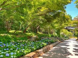 2024 화담숲 예약 가이드