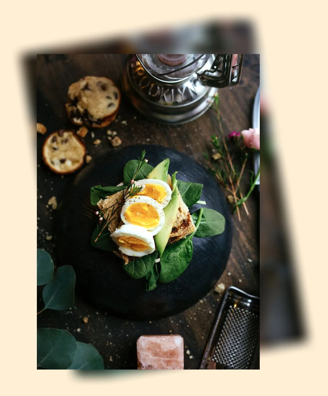 고양이 사료 선택_2_subsection