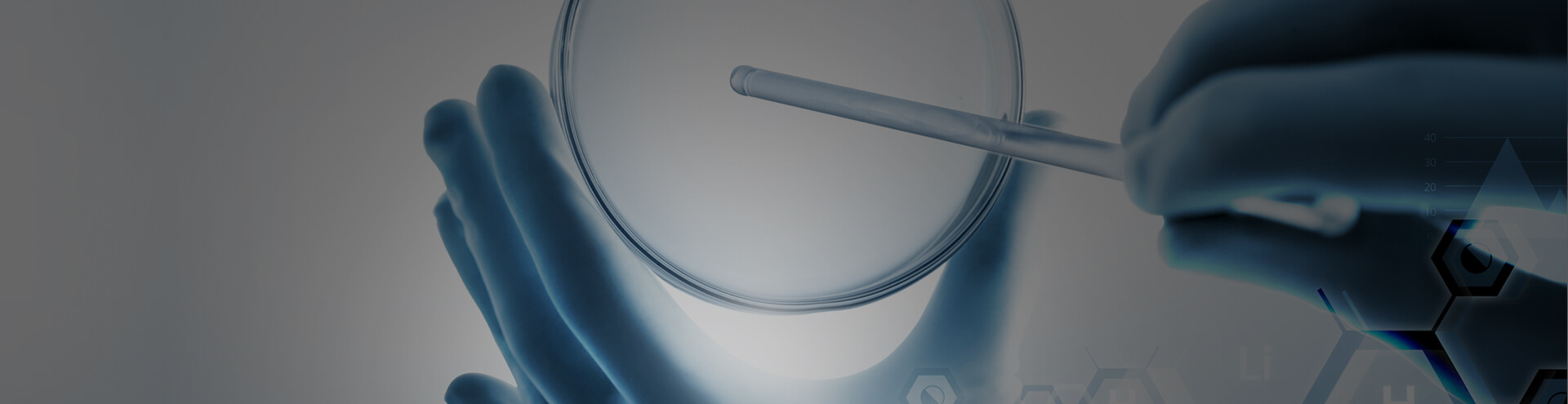 아이티켐 공모주