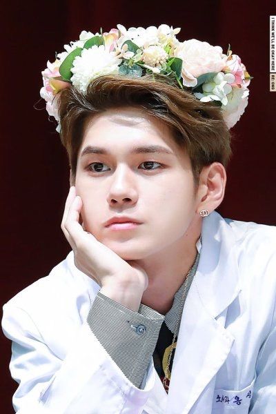 워너원 고화질 사진