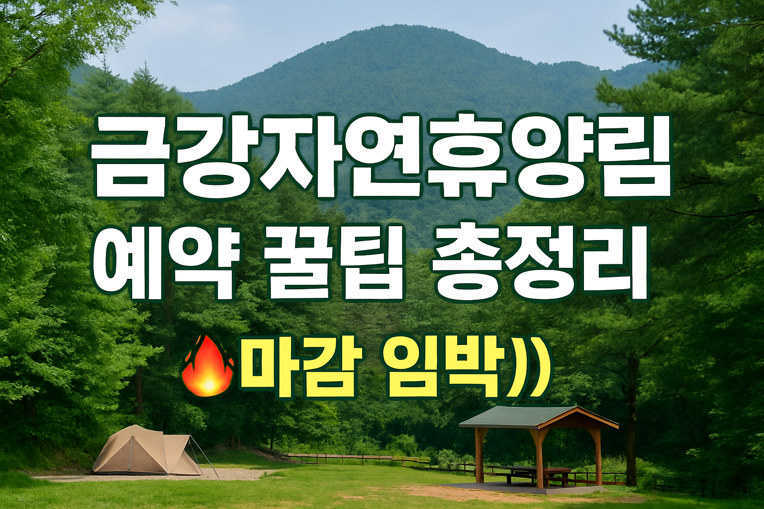 금강자연휴양림, 6월 마지막 기회! 예약방법, 꿀팁