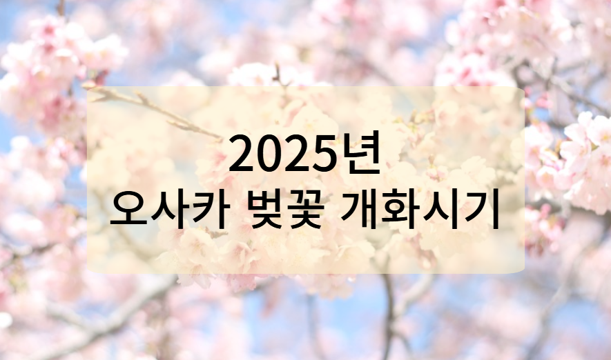 2025년 오사카 벚꽃 개화 시기