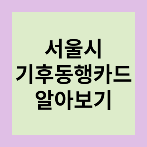 서울시 기후동행카드