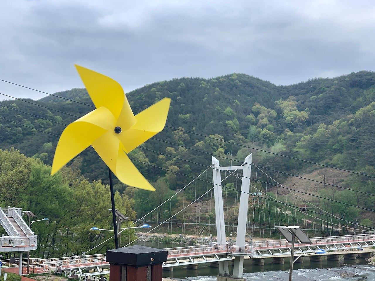곡성 세계장미축체