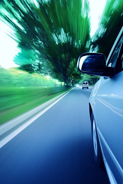 광복절-특사-음주운전-발표