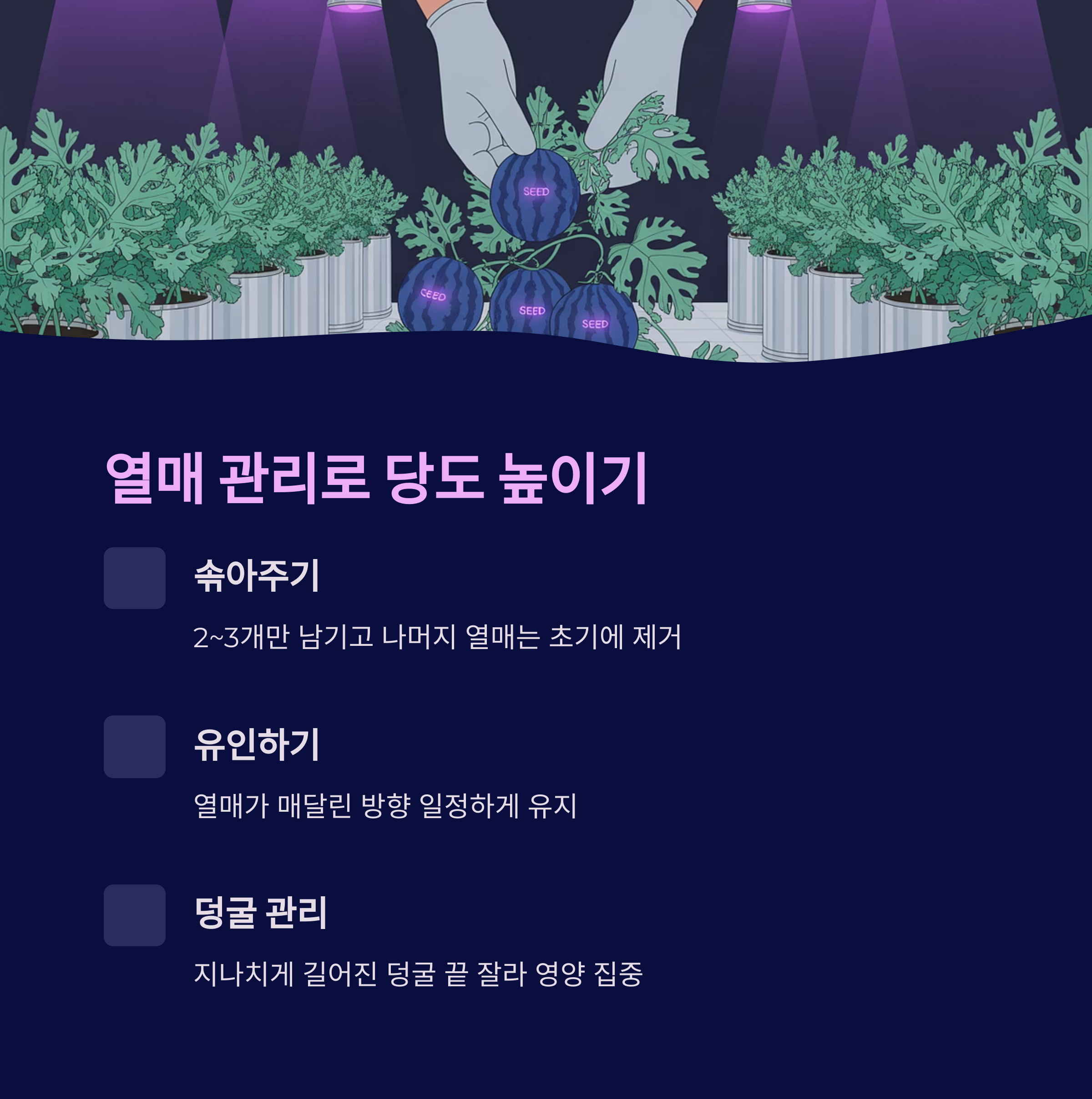 열매 관리 &ndash; 유인과 솎아주기로 당도 높이기