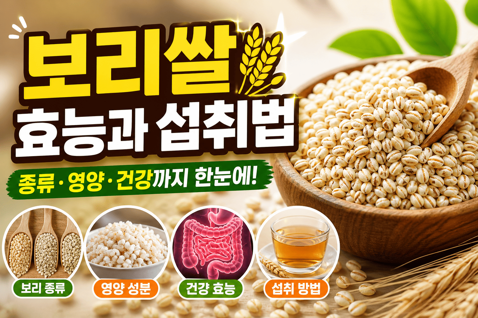 보리쌀 효능과 섭취법 (종류 영양 건강)