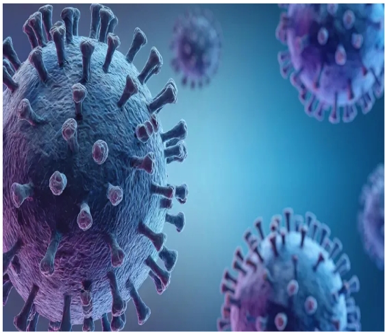 코로나바이러스사진