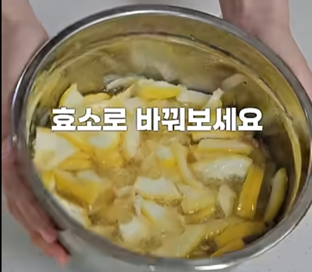 과일청말고 효소로 먹는 과일