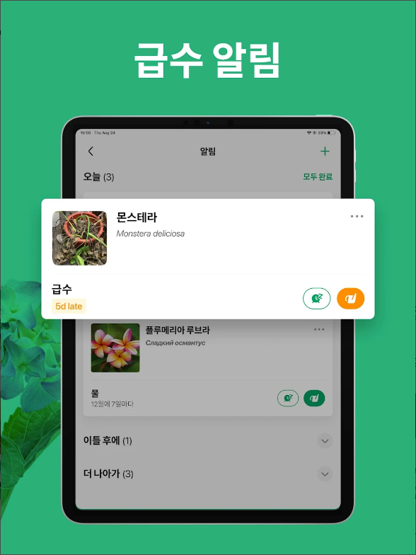 꽃 이름 찾기 어플, 사진 이미지로 꽃 찾고 검색하기