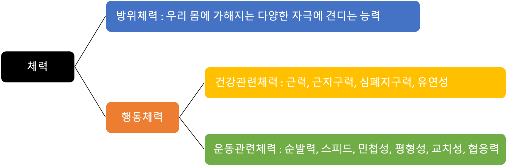 체력, 체력의 분류
