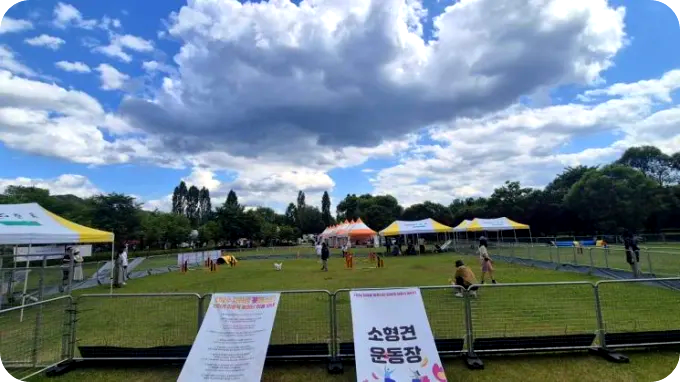 가평 자라섬 중도 제2회 반려동물 문화축제 일정 꽃 페스타 반려견 캐리커처 세미나 스냅 사진 신청 방법