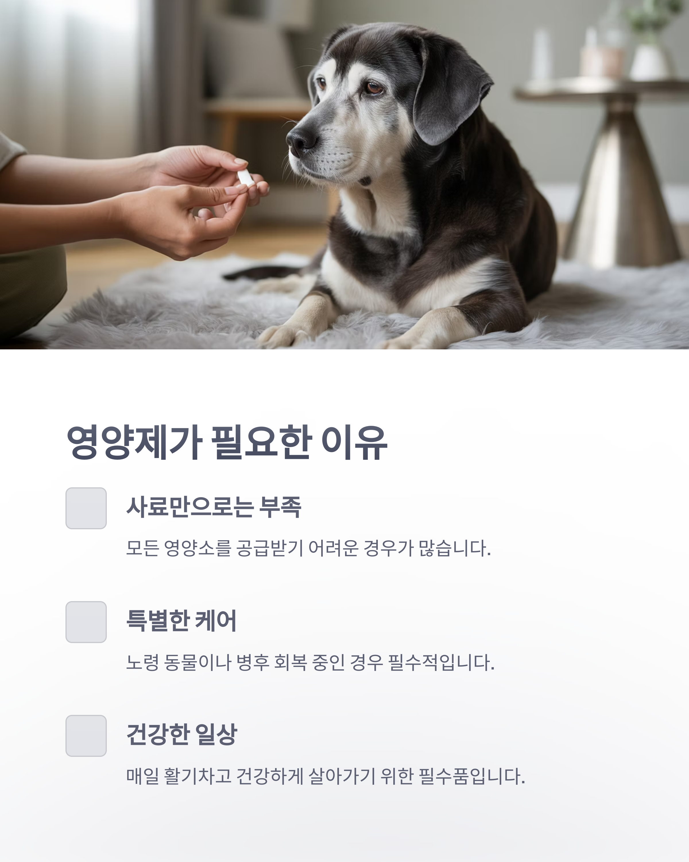 참조-반려동물-영양제-2