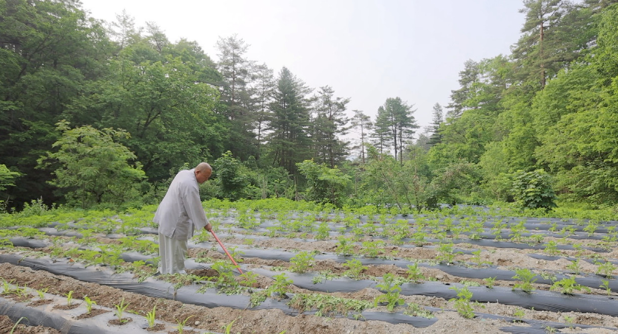 한국기행 제철을 드세요 강릉 사찰 용연사