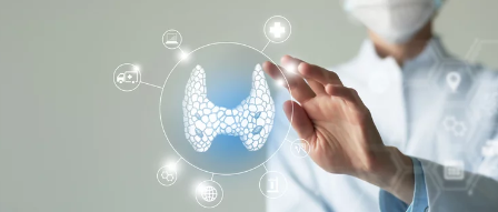 갑상선기능저하증/출처:어도비스톡