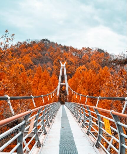 출렁다리-가을