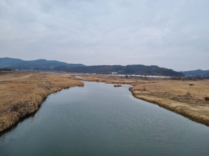 갑천